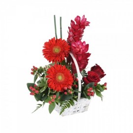 Christmas basket exotic